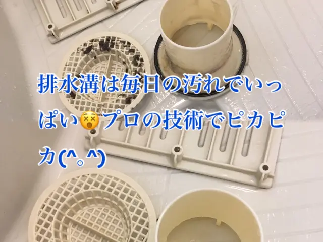 クレジット、PayPay支払い可　すぐに返信します。サービスの画像