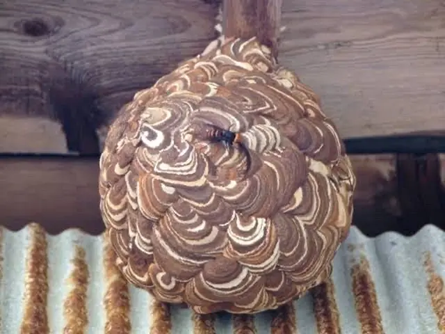 お客様のお力になります！経験と知識を活かして迅速丁寧に作業いたします！サービスの画像