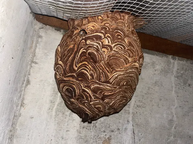 お客様のお力になります！経験と知識を活かして迅速丁寧に作業いたします！サービスの画像