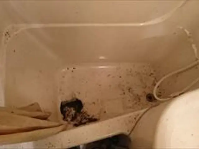 浴室クリーニング☆サービスの画像