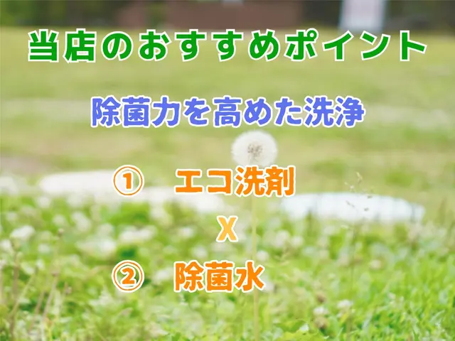 エコ洗剤×除菌水すすぎのプレミア洗浄☆お子様･ペットも安心の丁寧仕上げ◎サービスの画像