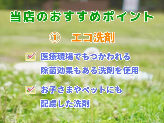 エコ洗剤×除菌水すすぎのプレミア洗浄☆お子様･ペットも安心の丁寧仕上げ◎サービスの画像