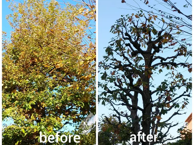 夫婦二人で伺います！業歴30余年の夫と、妻と、真心込めてお手入れします。サービスの画像