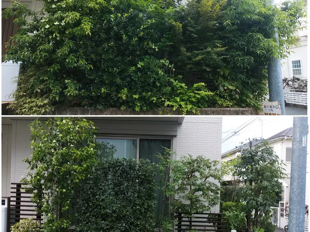 夫婦二人で伺います！業歴30余年の夫と、妻と、真心込めてお手入れします。サービスの画像