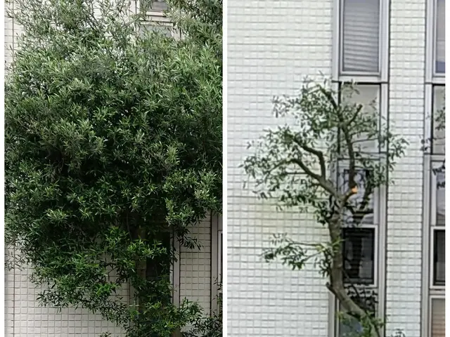 夫婦二人で伺います！業歴30余年の夫と、妻と、真心込めてお手入れします。サービスの画像