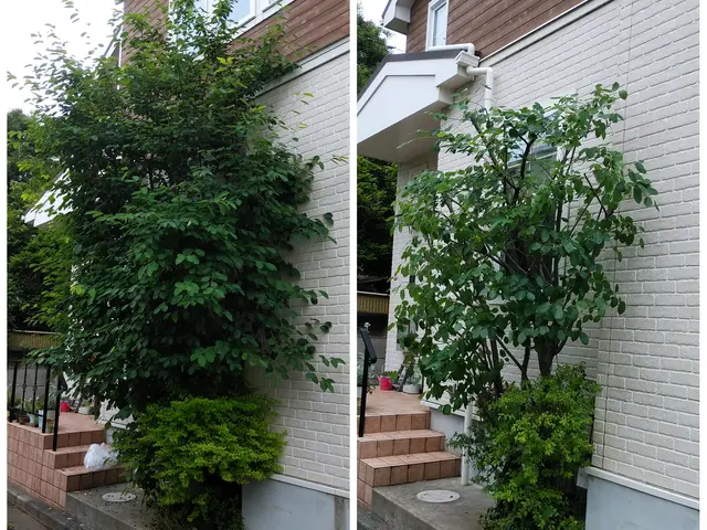 夫婦二人で伺います！業歴30余年の夫と、妻と、真心込めてお手入れします。サービスの画像