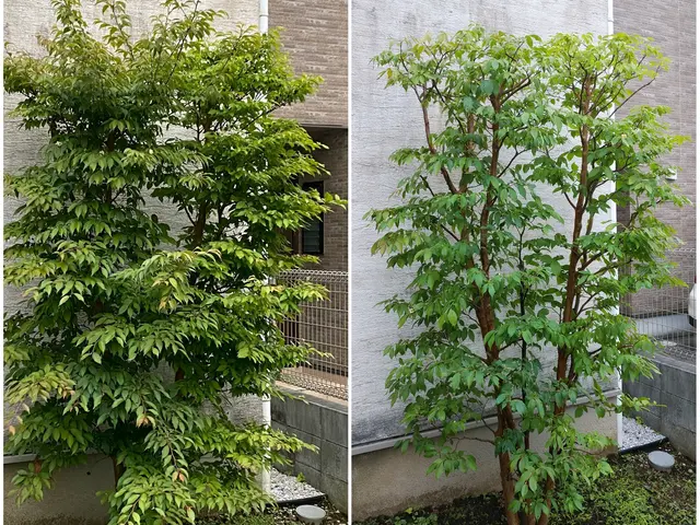 夫婦二人で伺います！業歴30余年の夫と、妻と、真心込めてお手入れします。サービスの画像