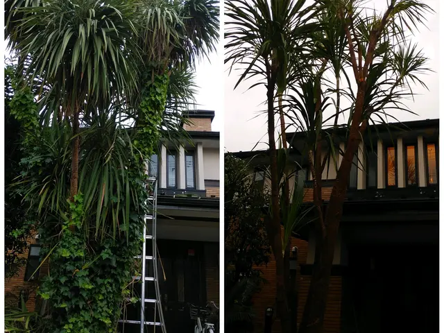 夫婦二人で伺います！業歴30余年の夫と、妻と、真心込めてお手入れします。サービスの画像