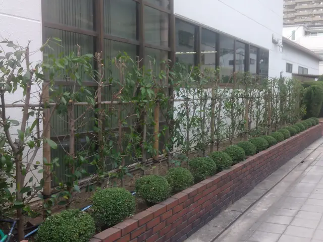 「切りすぎないでほしい」「形を残したい」など、細かな要望も遠慮なくお伝え下さい。サービスの画像