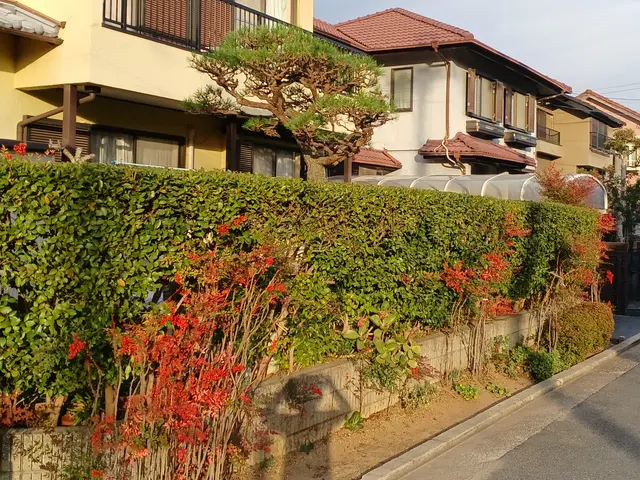 「切りすぎないでほしい」「形を残したい」など、細かな要望も遠慮なくお伝え下さい。サービスの画像