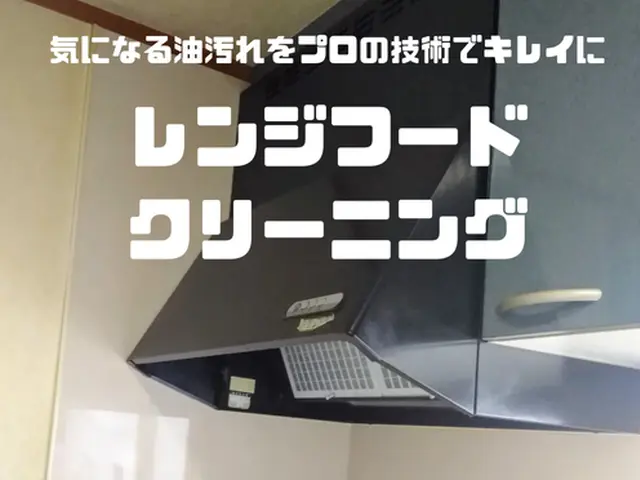 【期間限定価格】☆誠実・丁寧・笑顔で対応！☆頑固な油汚れをプロの技術でキレイに！サービスの画像