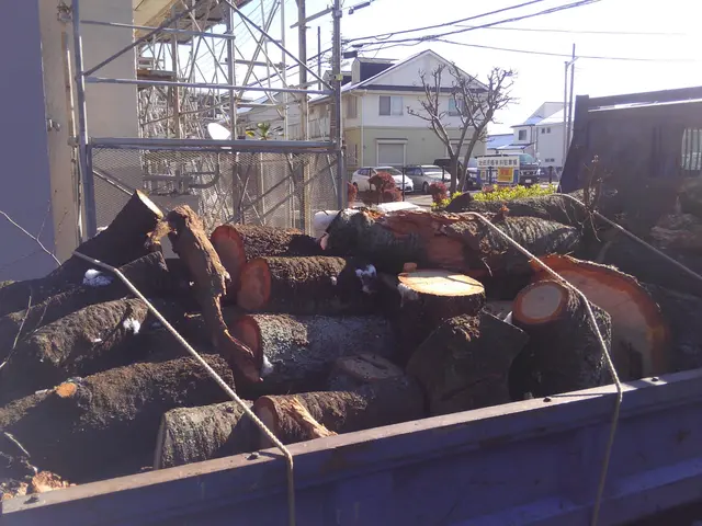 《業歴11年》損保加入│女性スタッフ同行可！お庭づくりのエキスパートがご対応♬サービスの画像