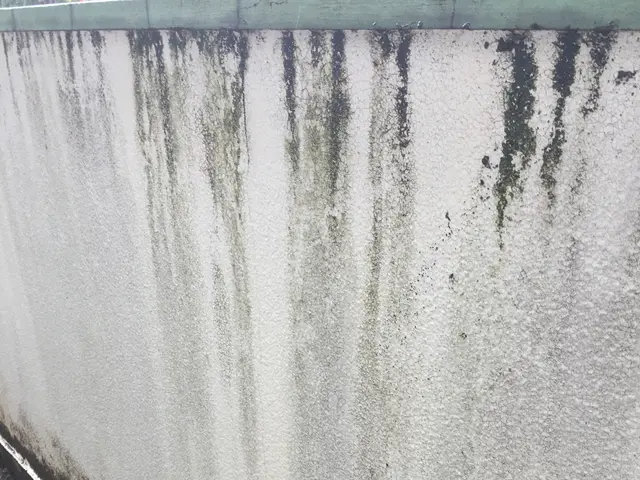 ＊ベランダの他、駐車スペース、玄関ポーチ、外壁（高所除く）等も承っております！サービスの画像