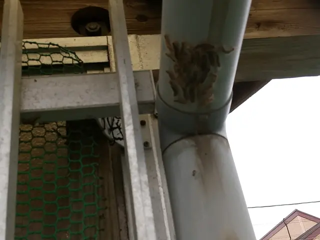 《キオビエダシャクも駆除可能》完全自社施工◆営業時間外・対応地域外のご相談OK！サービスの画像