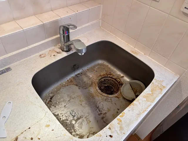 【主婦の天敵水回り汚れをなくす！】徹底クリーニングですっきり！サービスの画像