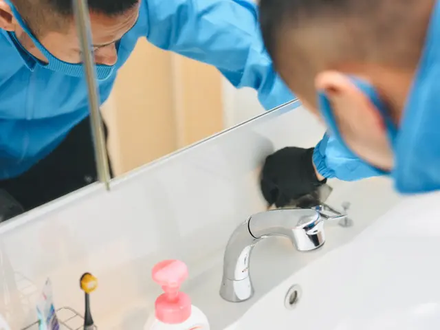 通常64,200円がセットでお得に！！サービスの画像