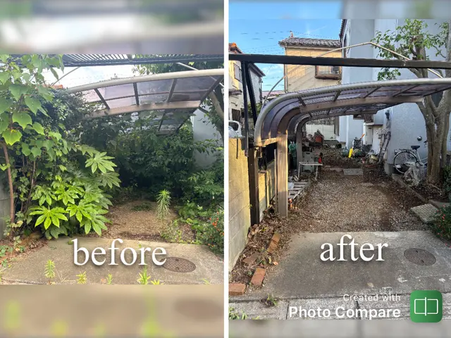 他を圧倒する、レベルの違う仕上がり。緑なんて残しません。サービスの画像