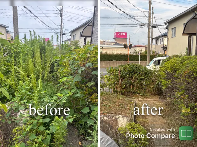 他を圧倒する、レベルの違う仕上がり。緑なんて残しません。サービスの画像