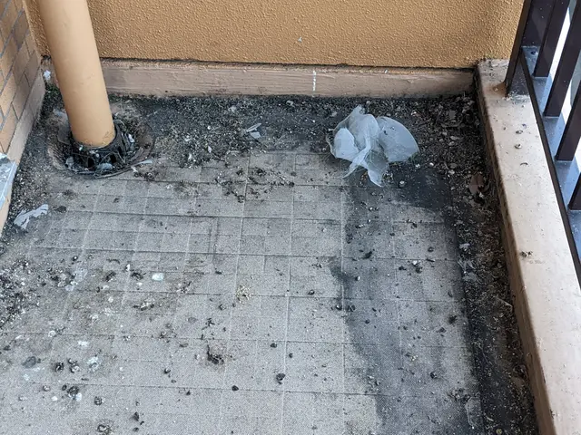 【年中無休】太陽光発電システムへのハト被害対策を得意としております。サービスの画像