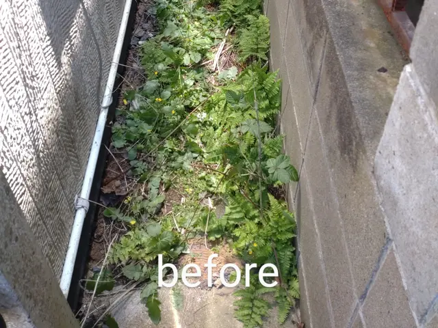 ☆業歴20年　一級造園施工管理技士が対応！【スッキリ•爽やかなお庭にします！】☆サービスの画像