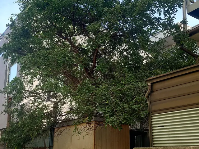 あなたの「困った」を当社スタッフが全力で解決します！サービスの画像