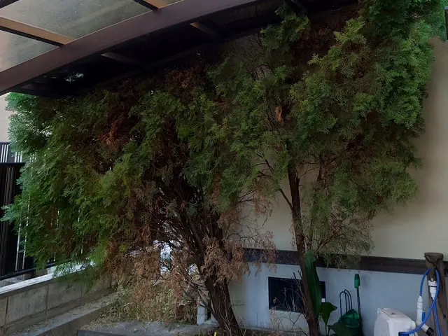 あなたの「困った」を当社スタッフが全力で解決します！サービスの画像