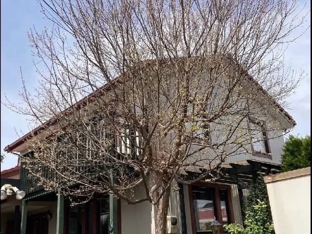 【業歴16年】１級造園技能士があなたのお庭をスッキリ致します。サービスの画像