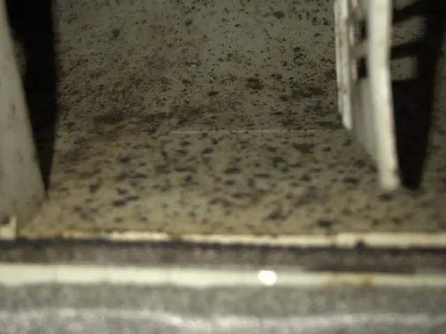 年間1800台以上の経験豊富スタッフが全メーカー対応可能です！抗菌コート無料付きサービスの画像