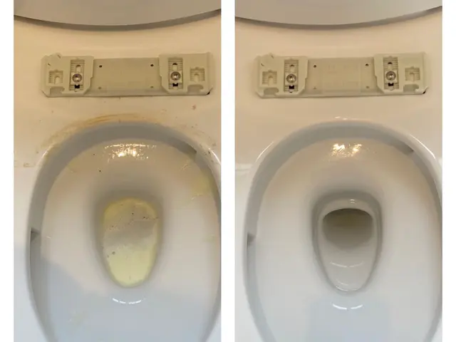 【◎TBSテレビ出演店舗◎】１日１件限定の丁寧作業実施中♪サービスの画像