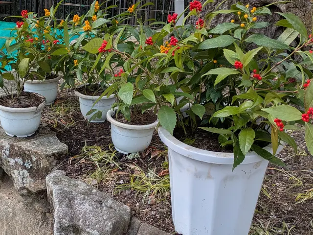 ◆予約から施工まで100%自社対応◆駐車代お店負担◆迅速丁寧に対応しますサービスの画像