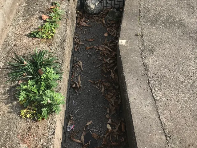 側溝清掃。虫や、嫌な匂いを綺麗に除去いたします。サービスの画像