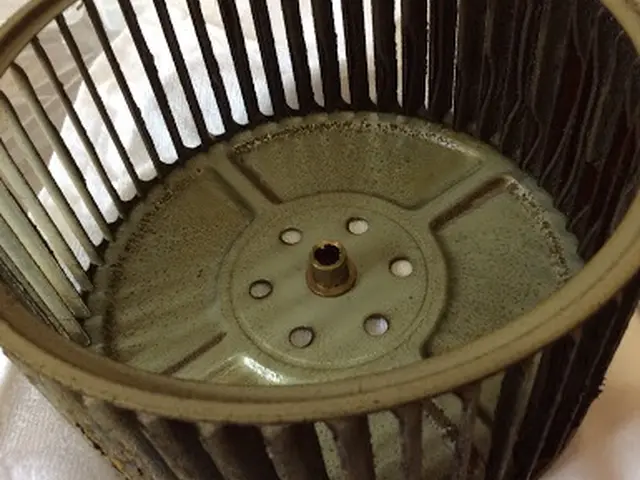 【クレカ・QR決済 OK！】『ファン』『フードの内側』丁寧に分解洗浄！サービスの画像