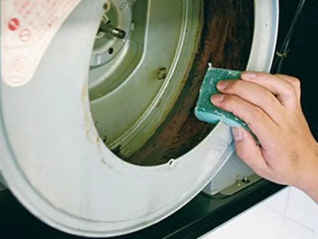 【クレカ・QR決済 OK！】『ファン』『フードの内側』丁寧に分解洗浄！サービスの画像