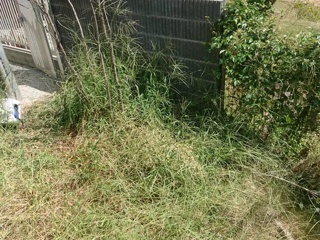 草むしり除草の事ならおまかせ下さい！プロの仕上がりに納得！料金はご要望にお応じサービスの画像