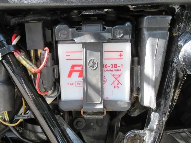 【自動車ディーラーでの勤務経験あり】女性スタッフ同行も可能です！サービスの画像