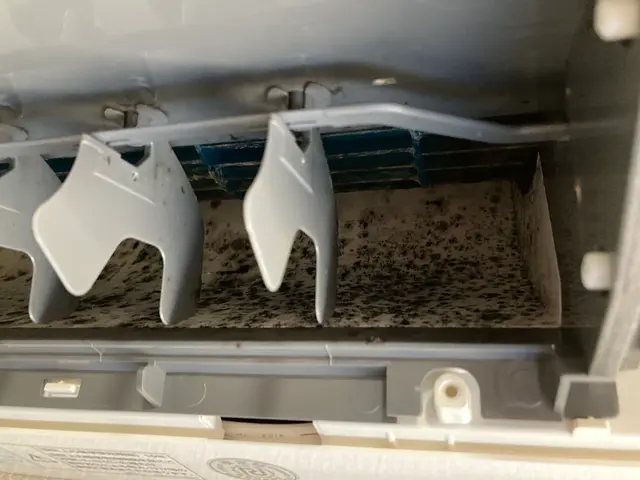 限定価格！複数台は要相談、まずは一台からご予約お願いいたします！サービスの画像