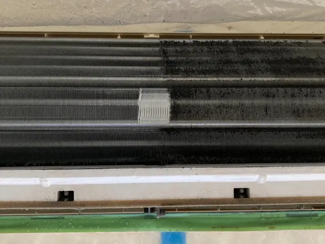 限定価格！複数台は要相談、まずは一台からご予約お願いいたします！サービスの画像