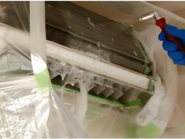 限定価格！複数台は要相談、まずは一台からご予約お願いいたします！サービスの画像