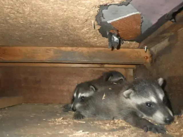 お客様のお力になります！経験と知識を活かして迅速丁寧に作業いたします！サービスの画像