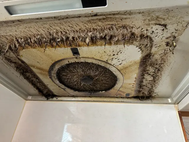 お客様のお力になります！経験と知識を活かして迅速丁寧に作業いたします！サービスの画像