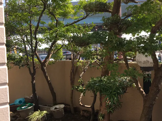 四季を感じる素敵な"お庭作り"を心掛けています！非喫煙者が訪問！サービスの画像