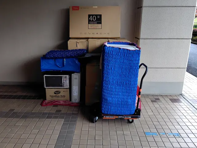 「少量からの単身引越＋家電家具の輸送はお任せ下さい」  緊急便や往復便も承りますサービスの画像