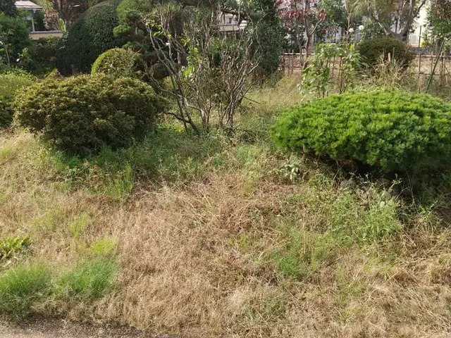 【地域密着】草むしりサービスの画像