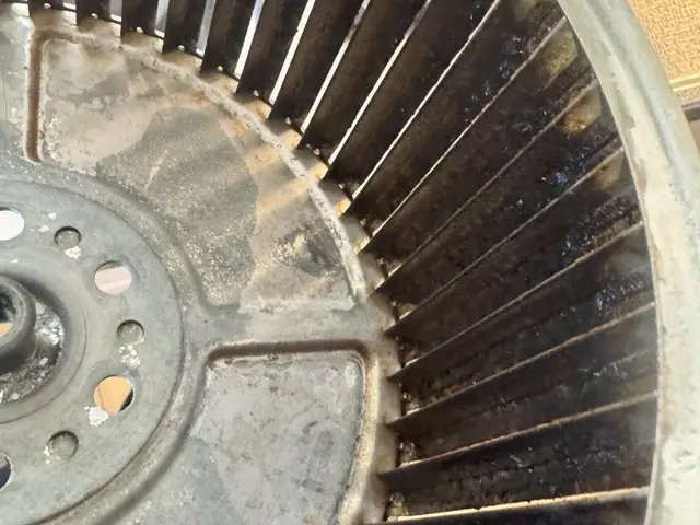 年末に向けてのキャンペーン実施中⇒年内トイレお掃除無料にてやらせて頂きます！サービスの画像