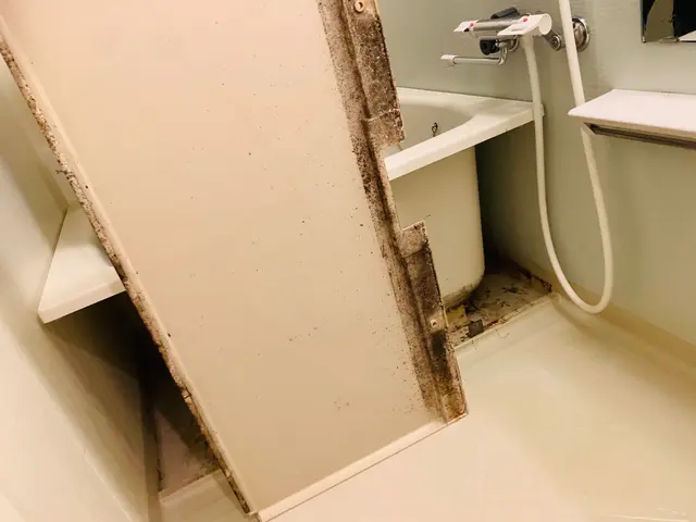 ◆年中無休◎早朝・夜間も対応OK◎大手業務経験豊富◎迅速丁寧に仕上げますサービスの画像