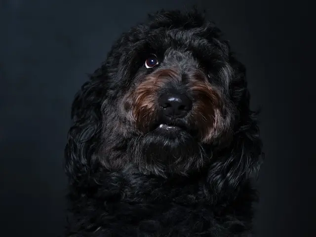 有名モデル達が通うフォトスタジオ☆三児のパパが対応★1月2月限定価格☆