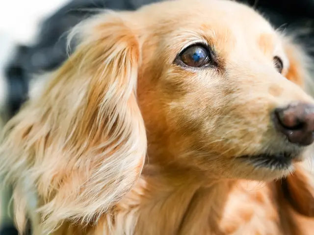 有名モデル達が通うフォトスタジオ☆三児のパパが対応★自然な笑顔を一生の宝物に☆