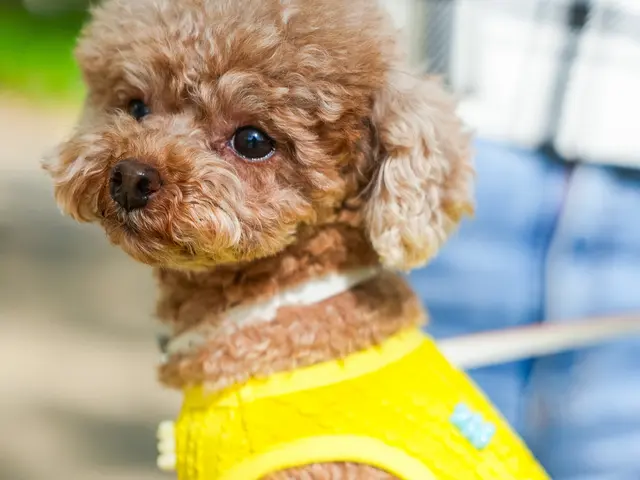 有名モデル達が通うフォトスタジオ☆三児のパパが対応★自然な笑顔を一生の宝物に☆