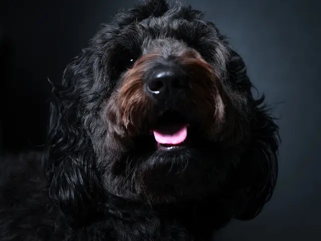 有名モデル達が通うフォトスタジオ☆三児のパパが対応★1月2月限定価格☆