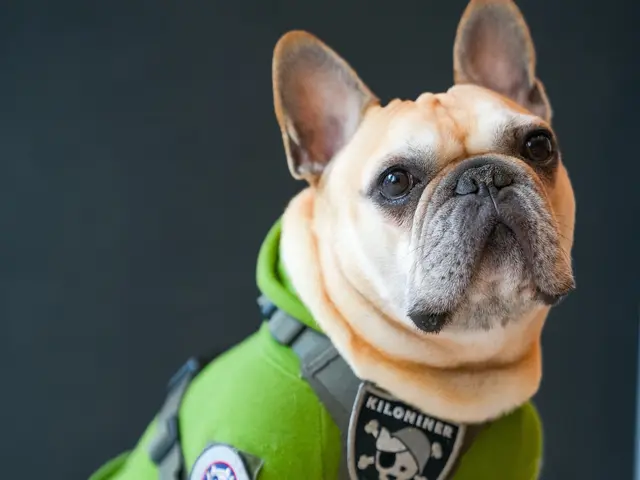 有名モデル達が通うフォトスタジオ☆三児のパパが対応★自然な笑顔を一生の宝物に☆